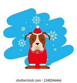 dog merry christmas card