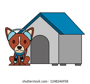 dog merry christmas card