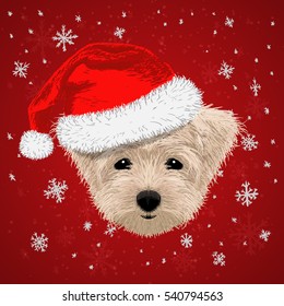 dog merry christmas and happy new year