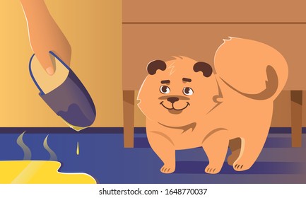 dog mess and pee on the floor