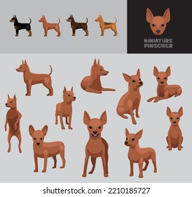 Dog Miniature Pinscher Brown Coat Cartoon Vector Illustration Color Variation Set
