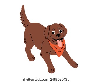 Dog in motion. Different canine breeds. Active puppies labrador retriever, beagle, shih tzu, chihuahua, bulldog shepherd and pug. Flat vector illustrations isolated on white background