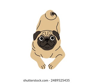 Dog in motion. Different canine breeds. Active puppies labrador retriever, beagle, shih tzu, chihuahua, bulldog shepherd and pug. Flat vector illustrations isolated on white background