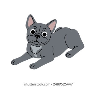 Dog in motion. Different canine breeds. Active puppies labrador retriever, beagle, shih tzu, chihuahua, bulldog shepherd and pug. Flat vector illustrations isolated on white background