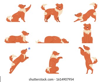 Dog movement. Funny dogs activities, cute animal character in various poses running, playing and sleeping. Dogs action training and tricks. Breed dog vector isolated illustration icons set