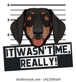 Dog Mugshot Mug Shot Dachshund
