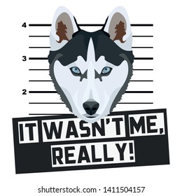Dog Mugshot mug shot Husky
