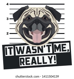 Dog Mugshot Mug Shot Pug 
