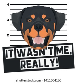 Dog Mugshot Mug Shot Rottweiler
