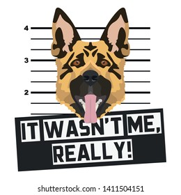 Dog Mugshot Police Photo Shepherd
