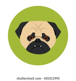 Dog muzzle color icon