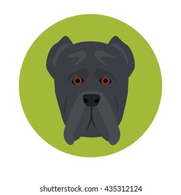 Dog muzzle color icon