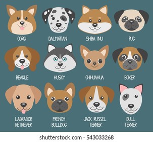 Dog muzzles. Different breeds: Beagle, dalmatian, shiba inu, husky, corgi, jack russell terrier, pug, chihuahua, labrador retriever, french bulldog