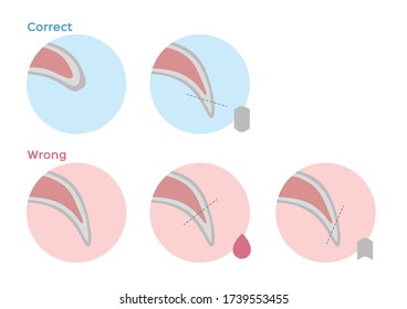 Dog Nail Trimming / Fingernail Vector