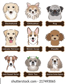 Dog / Nameplate