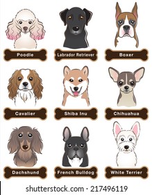 Dog / Nameplate