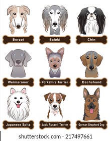 Dog / Nameplate