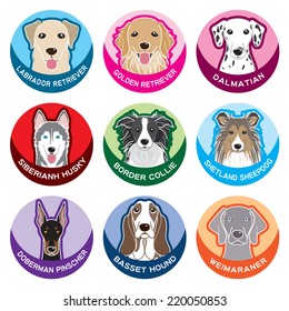 Dog / Nameplate