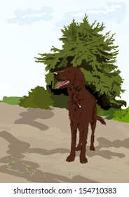 Dog near the tree
