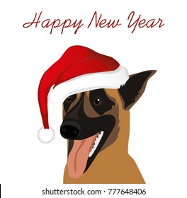 A dog in a New Year in Santa Claus hat. Belgian Shepherd  Malinois. Symbol of the year 2018. Vector. Greeting card or Christmas invitation.