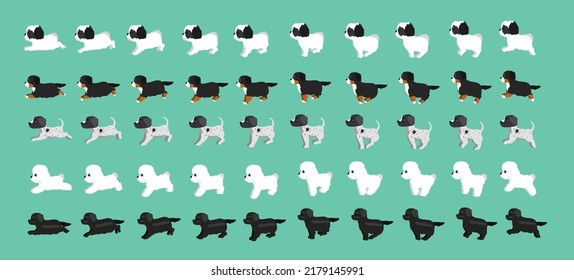 Dog Newfoundland Bichon Frise Pointer Bernese Havanese Walking Running Cartoon Vector Set