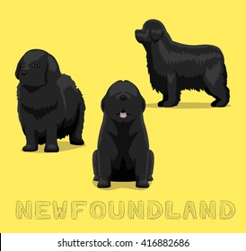 Dog Newfoundland Cartoon Vector Illustration