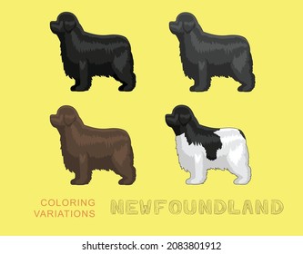 Dog Newfoundland Coloring Variations Cartoon Vector Illustration