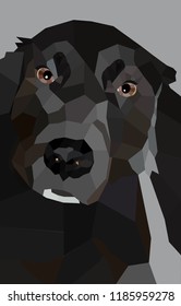 Dog Newfoundland in a low poly design black and white portrait of a dog in polygon style
