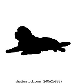 Dog Newfoundland silhouette Breeds Bundle Dogs on the move. Dogs in different poses. jumps, the dog runs. The dog is sitting. The dog is lying down playing
