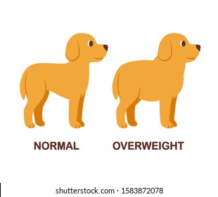 Dog with normal weight and overweight, pet obesity drawing. Cute cartoon fat dog vector clip art illustration.