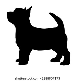  Dog Norwich Terrier silhouette. Pet. Animal. Vector isolated. Dog breed