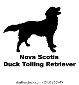 Dog Nova Scotia Duck Tolling Retriever silhouette Breeds Bundle Dogs on the move. Dogs in different poses.
The dog jumps, the dog runs. The dog is sitting lying down playing
