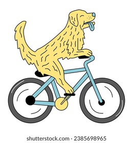 Dog on a bicycle with tongue sticking out. Image on a white background.