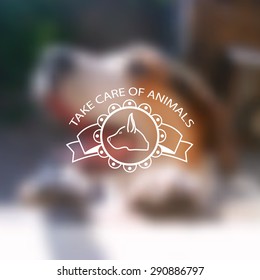 Dog on blurred photos with logo silhouette dog's head and text pet care