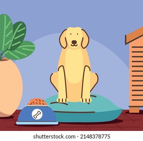 dog on cushion with food in the home