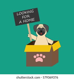 Dog on demonstration. Pug with transparency. Looking for a home. Vector illustration