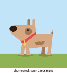 Dog on grass, illustration, vector on white background.
