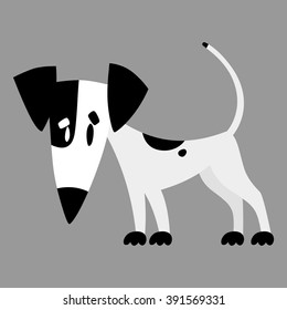 dog on a gray background