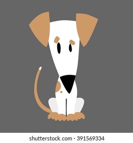 dog on a gray background
