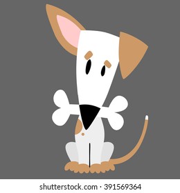 dog on a gray background
