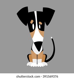 dog on a gray background