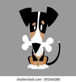 dog on a gray background