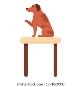 Dog on groomer table icon. Cartoon of dog on groomer table vector icon for web design isolated on white background
