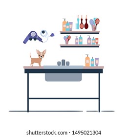 dog on hairdressing table with white background