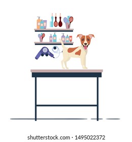 dog on hairdressing table with white background