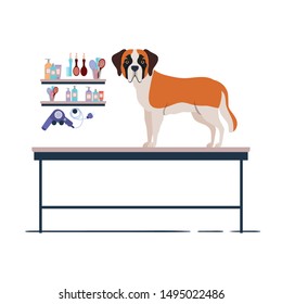 dog on hairdressing table with white background