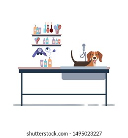 dog on hairdressing table with white background