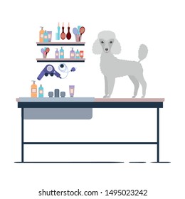 dog on hairdressing table with white background