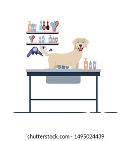 dog on hairdressing table with white background