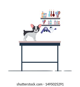 dog on hairdressing table with white background